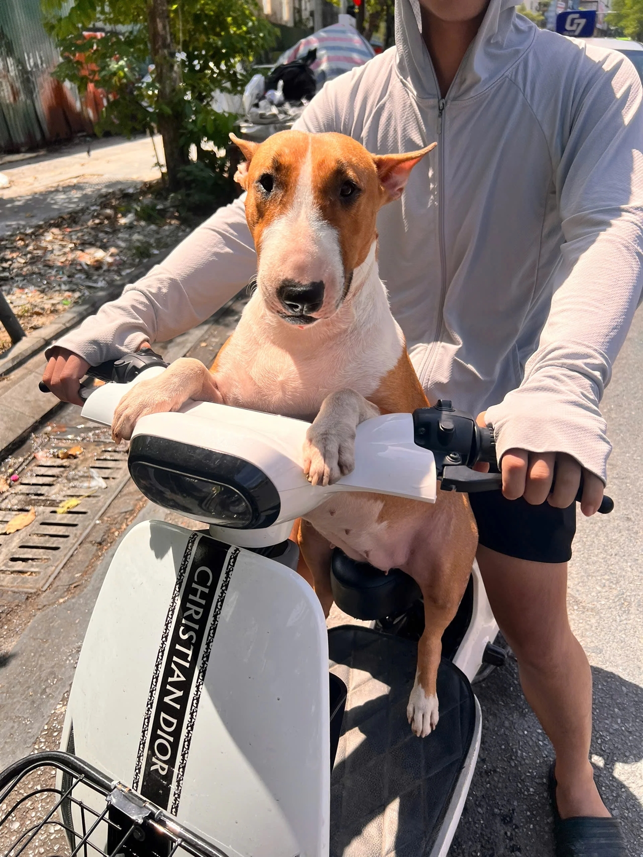 Phở anh Hai, Brother Hai’s Pho Restaurant, Cậu Vàng, game Việt, quán nướng Hà Nội