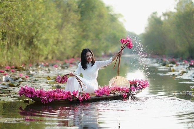 con số may mắn tuổi Mão, con số cát lành hôm nay 5/11, tử vi tuổi Mão 5/11/2025, phong thủy tuổi Mão