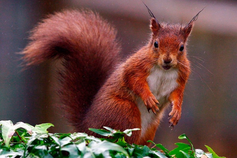 tử vi 12 cung hoàng đạo ngày 5/11/2025, cung hoàng đạo may mắn, chiêm tinh, năng lượng hành tinh, cảm xúc, tình duyên, sự nghiệp