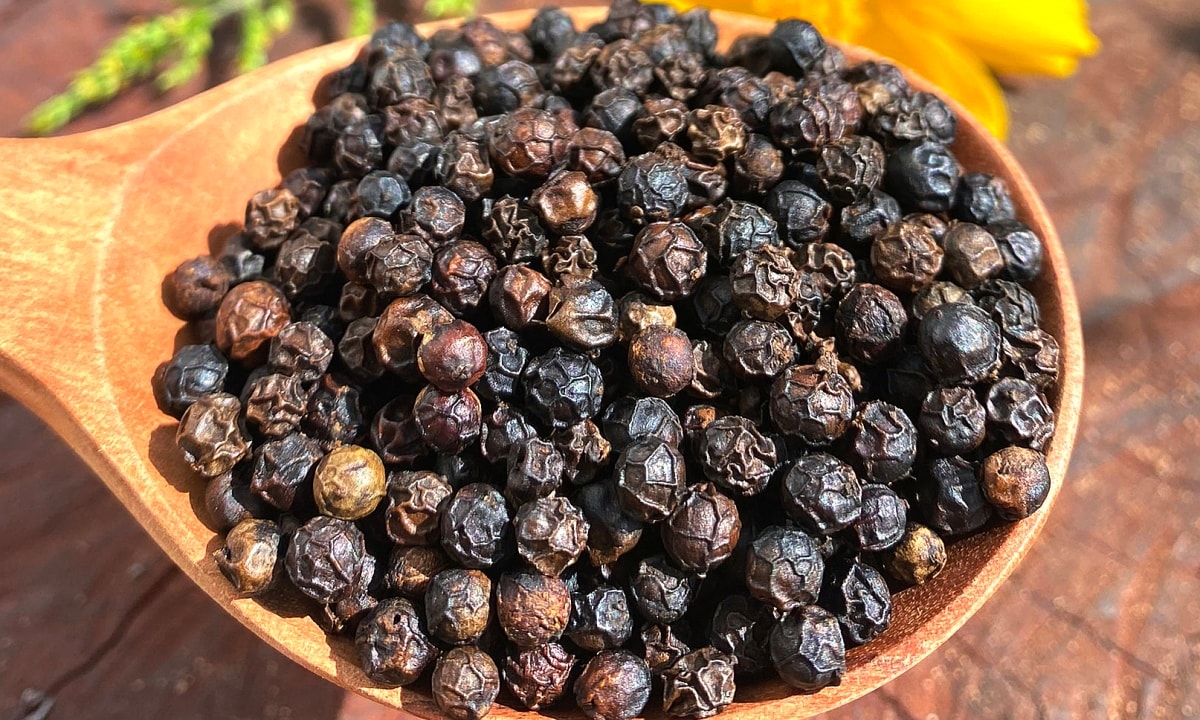 Giá tiêu hôm nay, giá hồ tiêu Việt Nam, thị trường hồ tiêu, xuất khẩu hồ tiêu, giá tiêu 4/11/2025