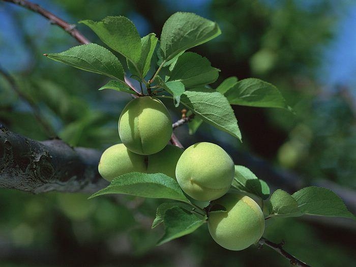 Tử vi 6/11/2025, tử vi 12 cung hoàng đạo, Bạch Dương, Kim Ngưu, Song Tử, Cự Giải, Sư Tử, Xử Nữ, Thiên Bình, Bọ Cạp, Nhân Mã