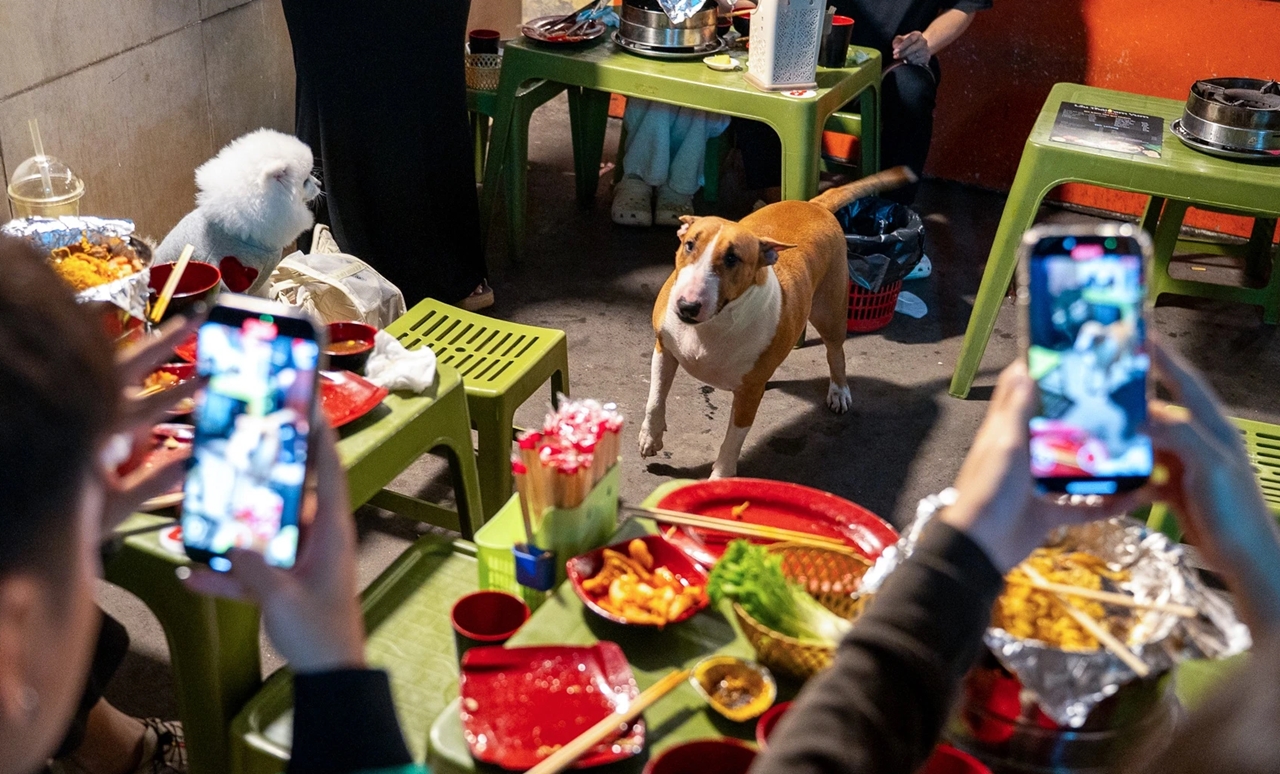 Cậu Vàng, game Quán phở anh Hai, chó Tam, quán nướng Hà Nội, hiện tượng mạng, chủ quán Hà Nội, Brother Hai’s Pho Restaurant