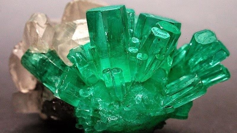 Tử vi 12 cung hoàng đạo, tử vi ngày 7/11, vận trình cung hoàng đạo, công việc, tài chính, tình cảm, sức khỏe