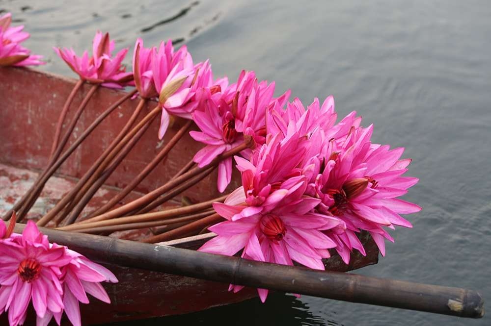 con số may mắn tuổi Dần 8/11/2025, tử vi tuổi Dần hôm nay, tuổi Giáp Dần, tuổi Bính Dần, tuổi Mậu Dần, tuổi Canh Dần, tuổi Nhâm Dần