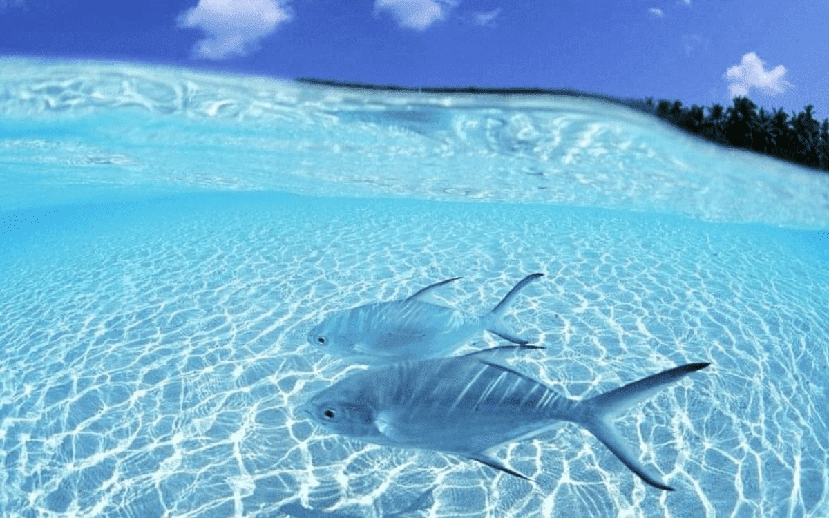 Con số may mắn tuổi Thìn 09/11/2025: Con số linh thiêng triệu hồi cơ hội vàng