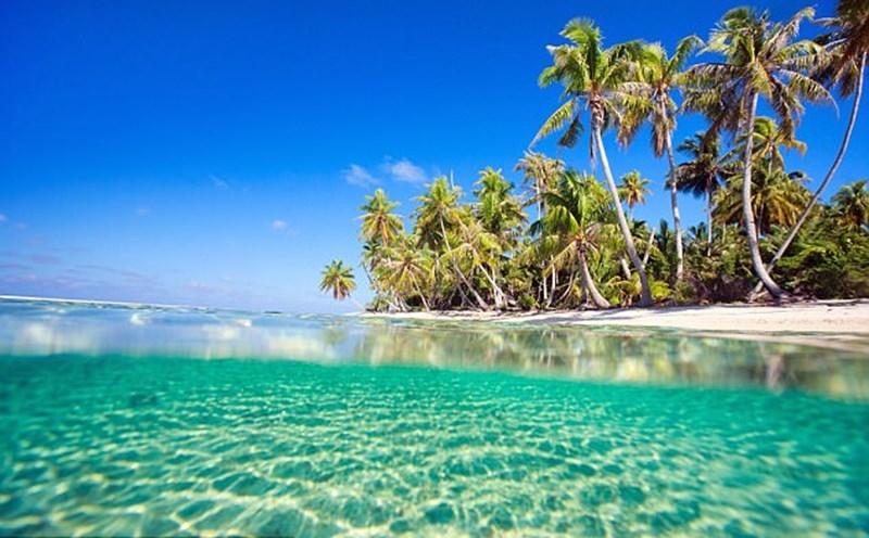 con số may mắn tuổi Thìn, tử vi tuổi Thìn 09/11/2025, tuổi Thìn hôm nay, phong thủy tuổi Thìn, vận may tuổi Thìn