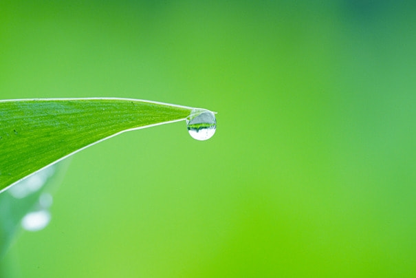 Tử vi 12 con giáp 9/11/2025: Dần, Tuất hanh thông