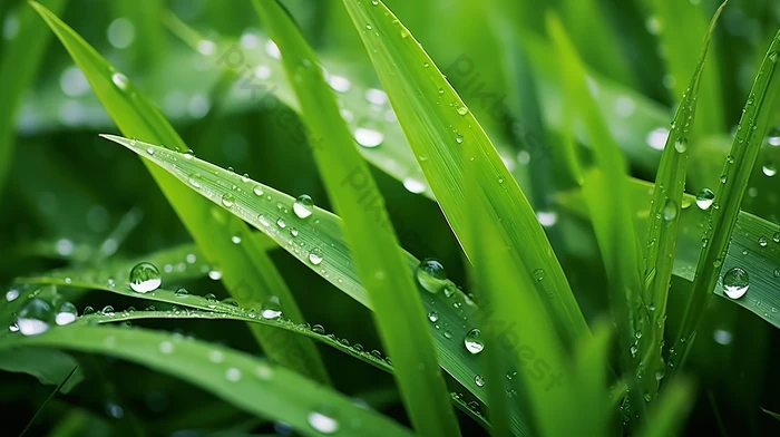 tử vi 12 con giáp, tử vi Chủ Nhật 9/11/2025, Dần, Tuất, Mão, Dậu, tài lộc, tình cảm, sự nghiệp, vận hạn