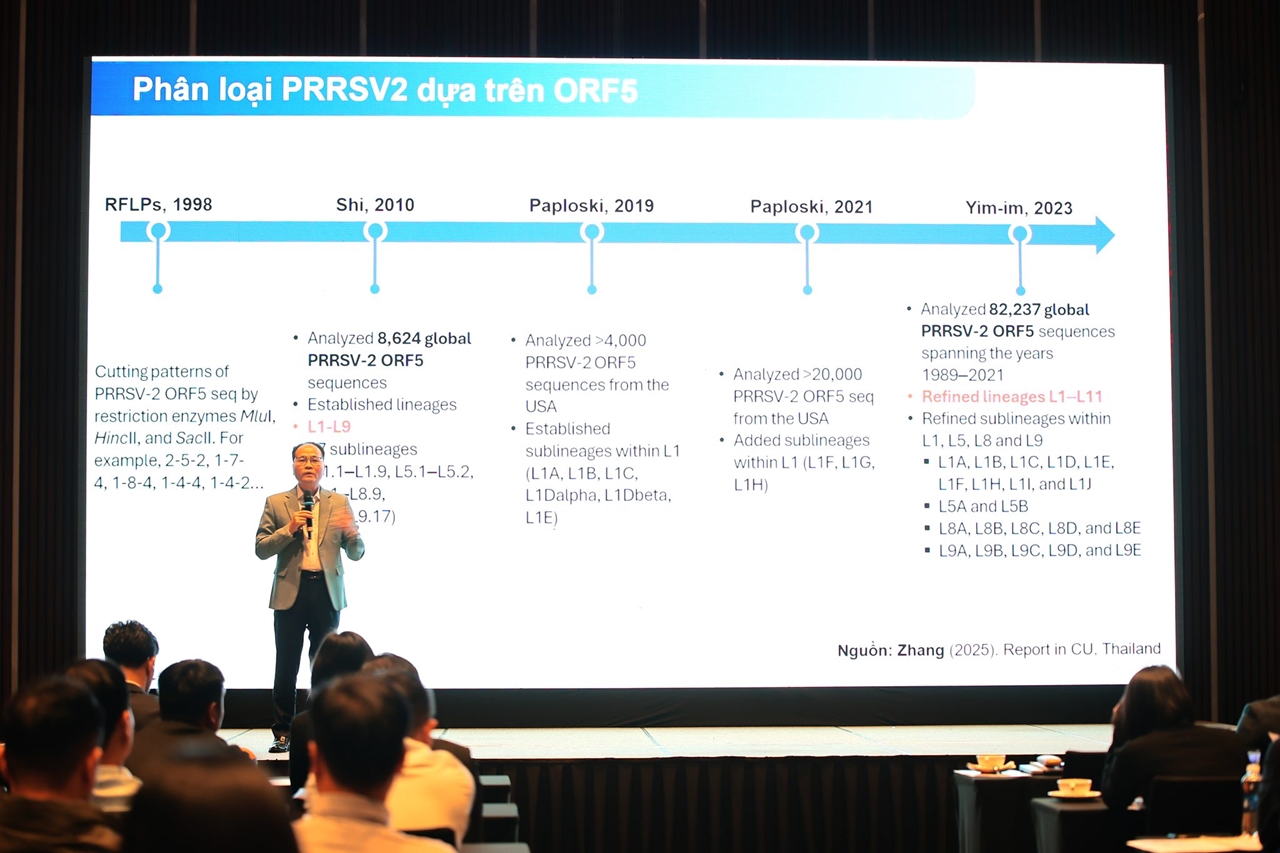 Vaccine Prevacent PRRS – Giải pháp đột phá giúp kiểm soát hiệu quả bệnh tai xanh trên heo