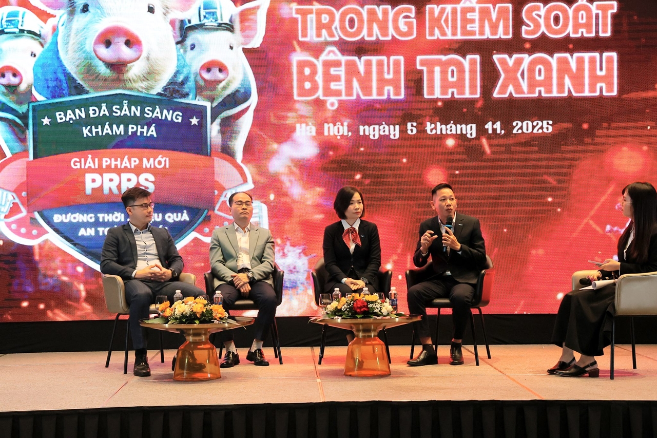 Vaccine Prevacent PRRS – Giải pháp đột phá giúp kiểm soát hiệu quả bệnh tai xanh trên heo