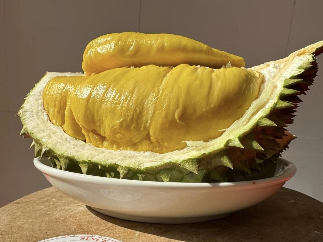 giá sầu riêng hôm nay 9/11/2025, giá sầu riêng Thái, giá sầu riêng Ri6, giá sầu riêng Đắk Lắk, giá sầu riêng ĐBSCL, xuất khẩu sầu riêng sang Trung Quốc