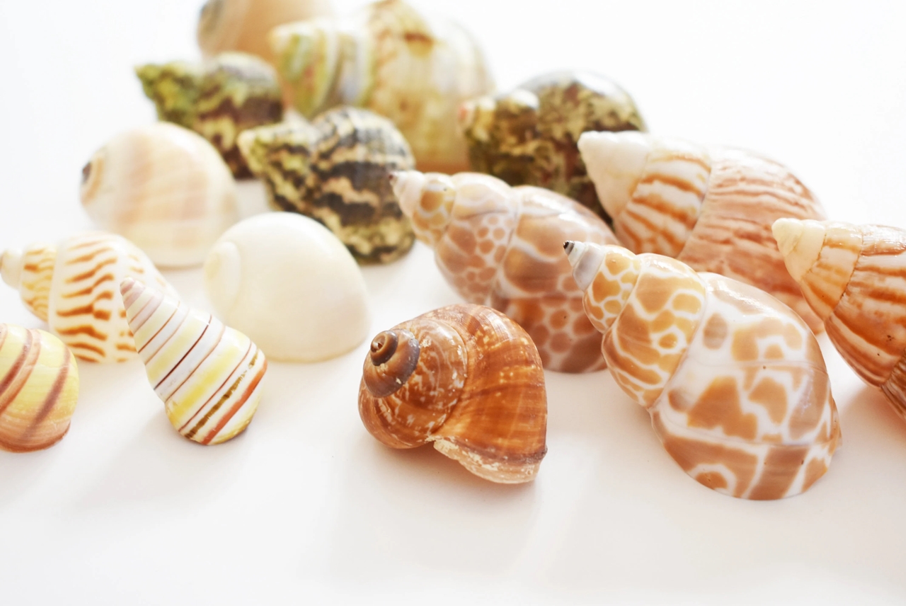 tử vi 11/11/2025, tử vi hôm nay, tử vi 12 con giáp, tử vi tuổi Dần 11/11/2025, tử vi tuổi Thìn 11/11/2025, tử vi hàng ngày