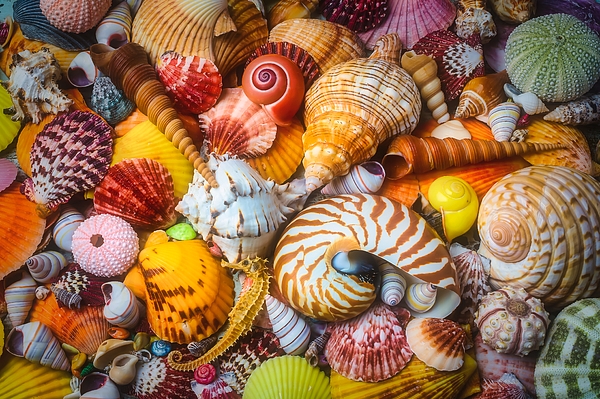 con số may mắn tuổi Dần 11/11, tử vi tuổi Dần 11/11, con số may mắn hôm nay, tử vi hôm nay tuổi Dần, vận may tuổi Dần