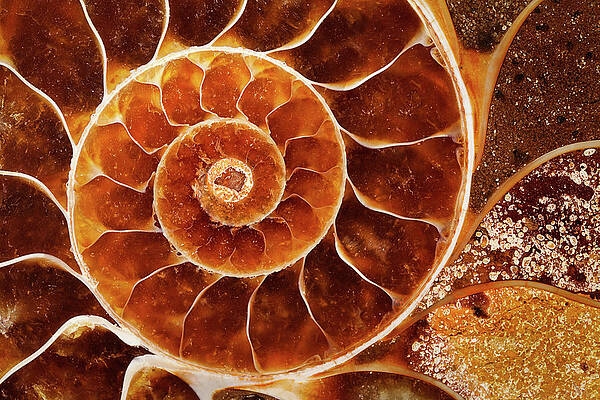 Con số may mắn tuổi Ngọ 11/11/2025: Cát khí vượng phát