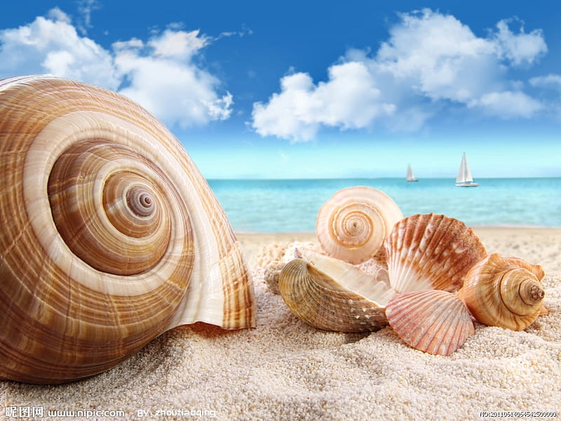 Con số may mắn tuổi Mùi 11/11/2025: Bình an khai mở