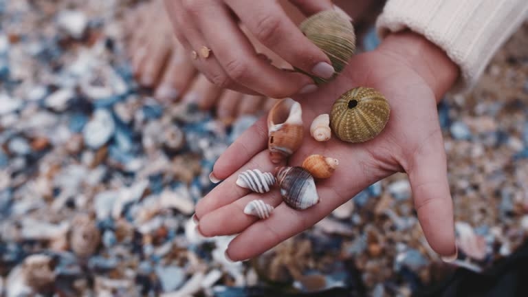 con số may mắn tuổi Thân, tử vi tuổi Thân, tử vi 11/11, tuổi Thân hôm nay, phong thủy tuổi Thân, tử vi ngày mới