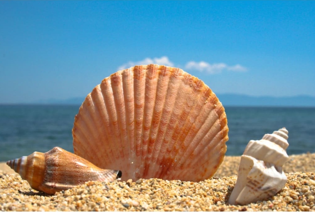 Con số may mắn tuổi Tý 11/11/2025: Cơ hội song hành thử thách