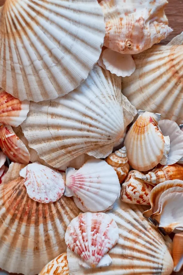 con số may mắn tuổi Mão 11/11, tử vi tuổi Mão 11/11, con số cát lành hôm nay, tử vi hôm nay tuổi Mão, vận may tuổi Mão