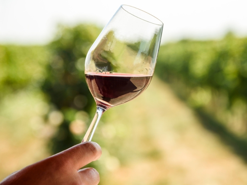 tử vi 12 con giáp, tử vi ngày 12/11/2025, tuổi Tý, tuổi Sửu, tuổi Dần, tuổi Mão, tuổi Thìn, tuổi Tỵ, tuổi Ngọ, tuổi Mùi, tuổi Thân, tuổi Dậu, tuổi Tuất