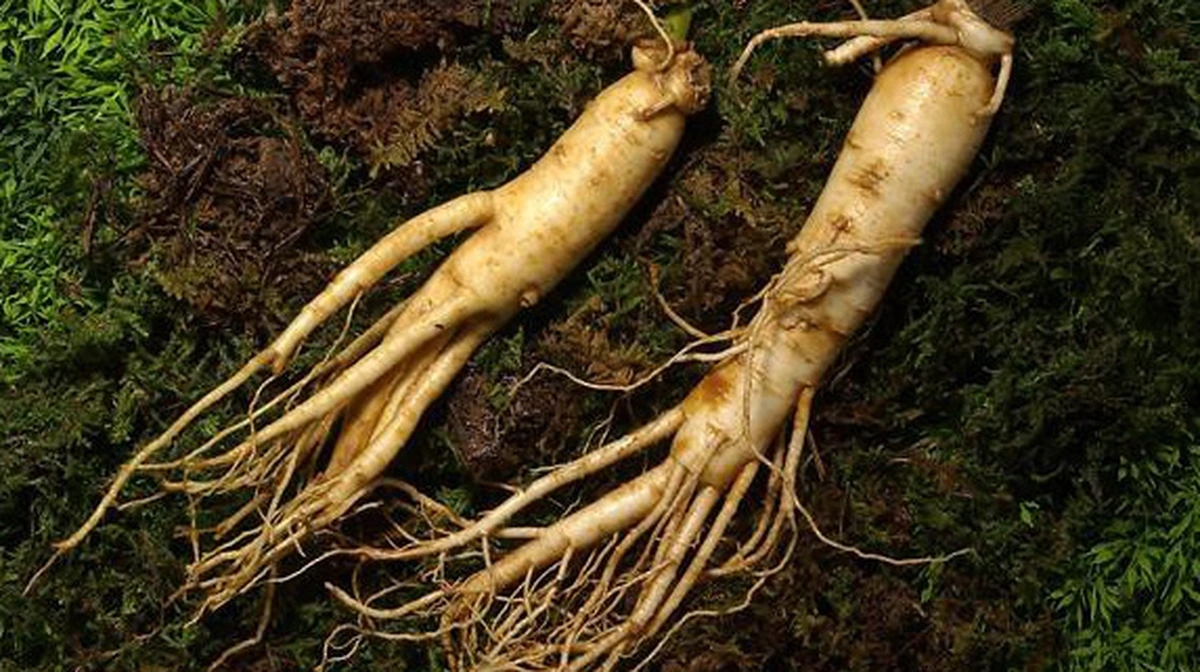 Tử vi tuổi Mão 12/11/2025: Con số linh ứng mở lối tình yêu