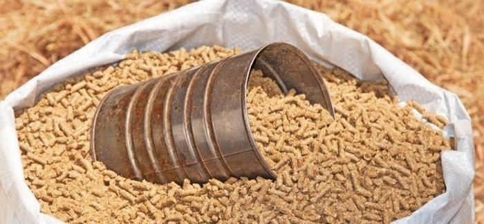 Giá cám heo hôm nay, thức ăn chăn nuôi, giá cám heo 12/11/2025, giá cám heo tăng, giá cám heo Dabaco, cám heo Con Cò