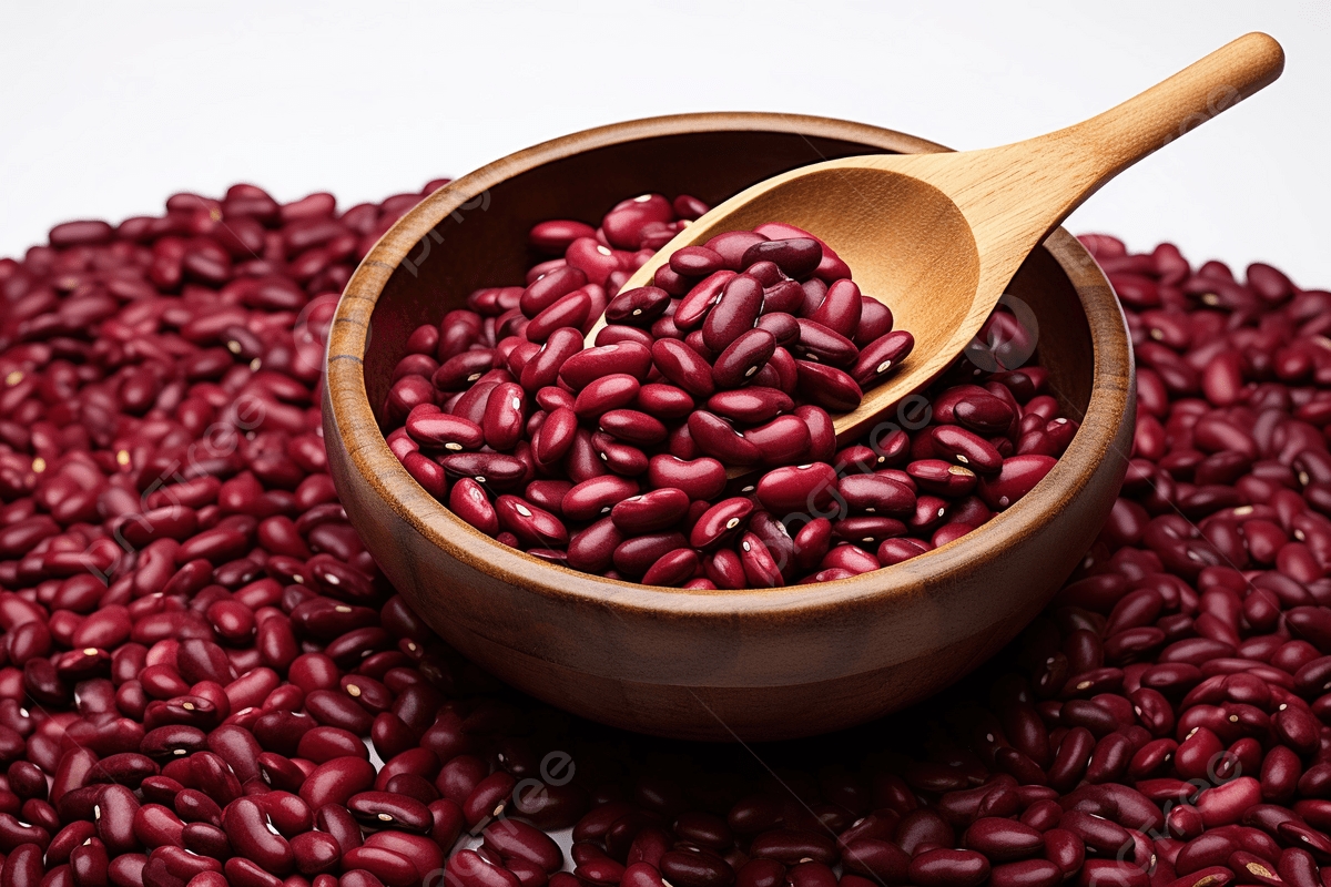 tử vi ngày 13/11/2025, tử vi 12 con giáp, tử vi hôm nay, vận trình ngày 13/11/2025