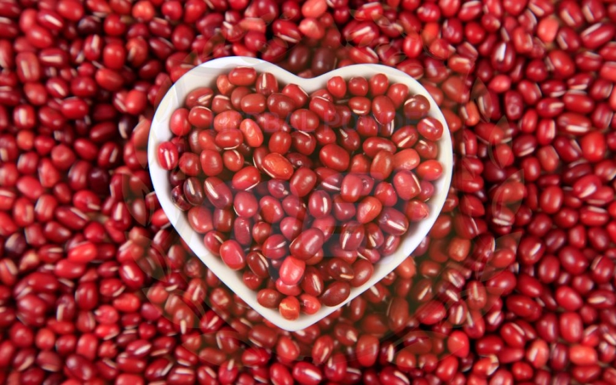 tử vi ngày 13/11/2025, tử vi 12 con giáp, tử vi hôm nay, vận trình ngày 13/11/2025