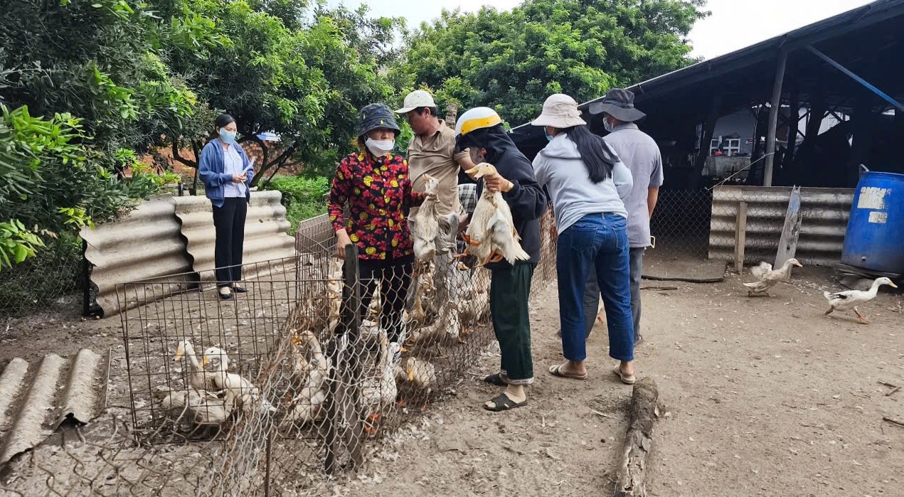 tiêm vắc xin cho vật nuôi, phòng bệnh gia súc, phòng bệnh gia cầm, TP.HCM, Chi cục Chăn nuôi và Thú y