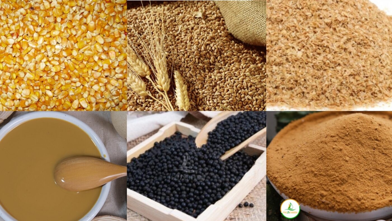 giá cám heo hôm nay, bảng giá cám heo, cám heo 13/11/2025, thức ăn chăn nuôi, giá cám Con Cò, giá cám Dabaco