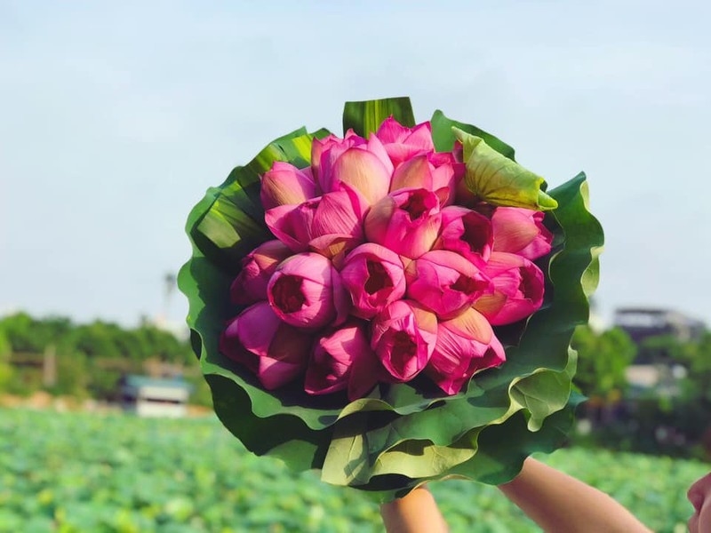 Tử vi 12 con giáp, tử vi ngày 14/11/2025, tuổi Tỵ, tuổi Mùi, vận đỏ, tài lộc, công việc