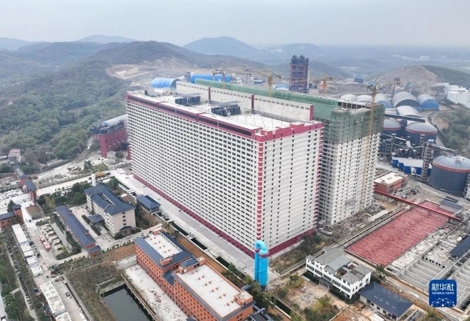 Những tiến bộ đột phá trong chăn nuôi lợn Trung Quốc