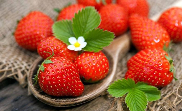 tử vi 16/11/2025, tử vi 12 con giáp, Chủ Nhật 16/11, tuổi Dần tuổi Mùi, tuổi Mão tuổi Thân