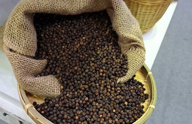 Giá tiêu 16/11/2025, giá tiêu hôm nay, giá tiêu, giá tiêu tăng, thị trường hồ tiêu, hồ tiêu Việt Nam, hồ tiêu Ấn Độ, tiêu Brazil, Tây Nguyên, Đông Nam Bộ