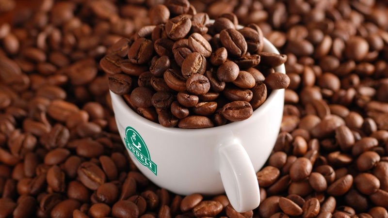 giá cà phê hôm nay 17/11/2025, giá cà phê, cà phê Tây Nguyên, giá cà phê thế giới, cà phê robusta, thị trường cà phê