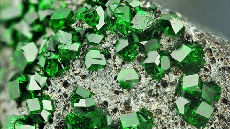 Tử vi 12 con giáp 18/11/2025: Tuổi Dần nhiều năng lượng