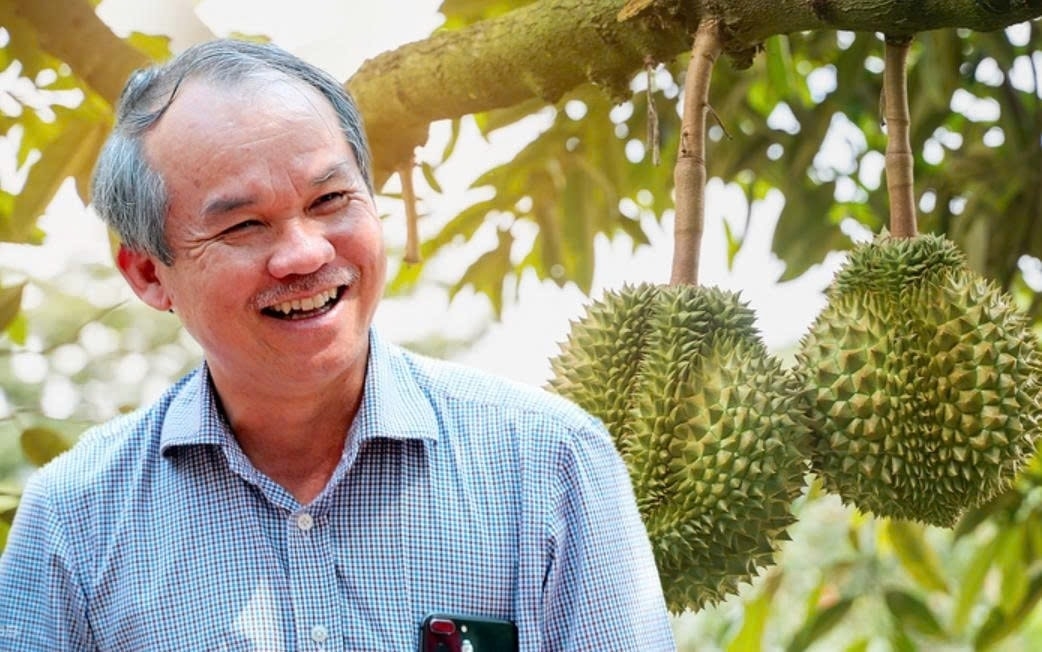 sầu riêng Việt Nam, HAGL, Bầu Đức, xuất khẩu sầu riêng, rào cản Cadimi, kiểm dịch sầu riêng, sầu riêng Lào, GlobalGAP, HAG, sầu riêng cấp đông