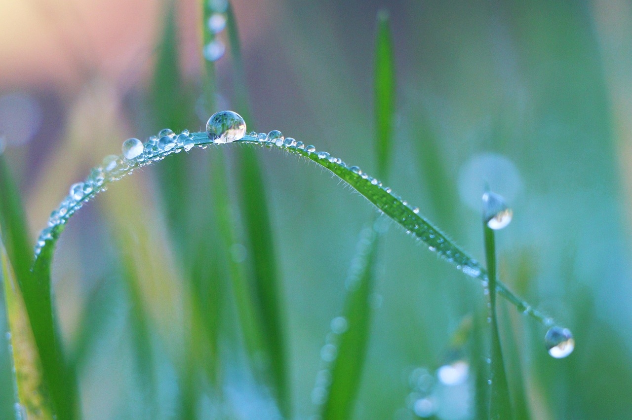 Tử vi 12 con giáp 19/11/2025, Tử vi 19 11 2025, tử vi 12 con giáp hôm nay, tử vi ngày mới, tuổi Dần may mắn, tuổi Ngọ tài lộc, tuổi Mão trắc trở