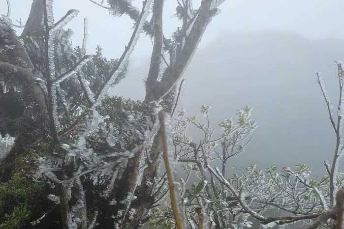 Tà Xùa bất ngờ xuất hiện băng giá