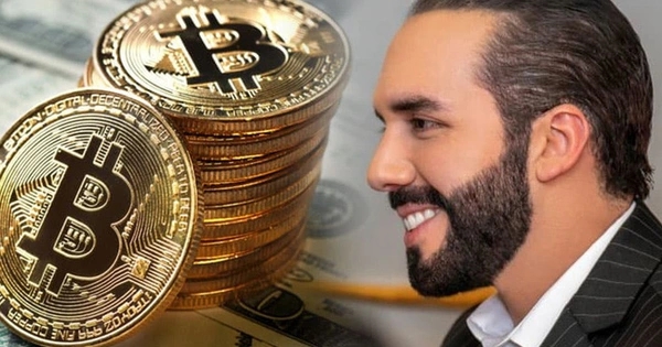 El Salvador, Bitcoin, Nayib Bukele, giá Bitcoin, mua Bitcoin, Bitcoin Office, thị trường tiền mã hóa