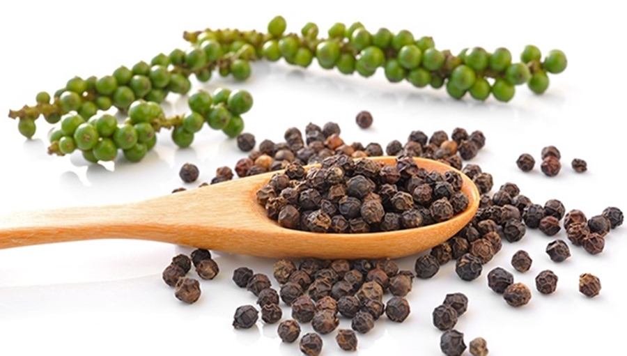 giá tiêu hôm nay, giá tiêu 19/11, giá tiêu 2025, giá tiêu trong nước, giá tiêu Gia Lai, xuất khẩu hồ tiêu, miễn thuế đối ứng Mỹ