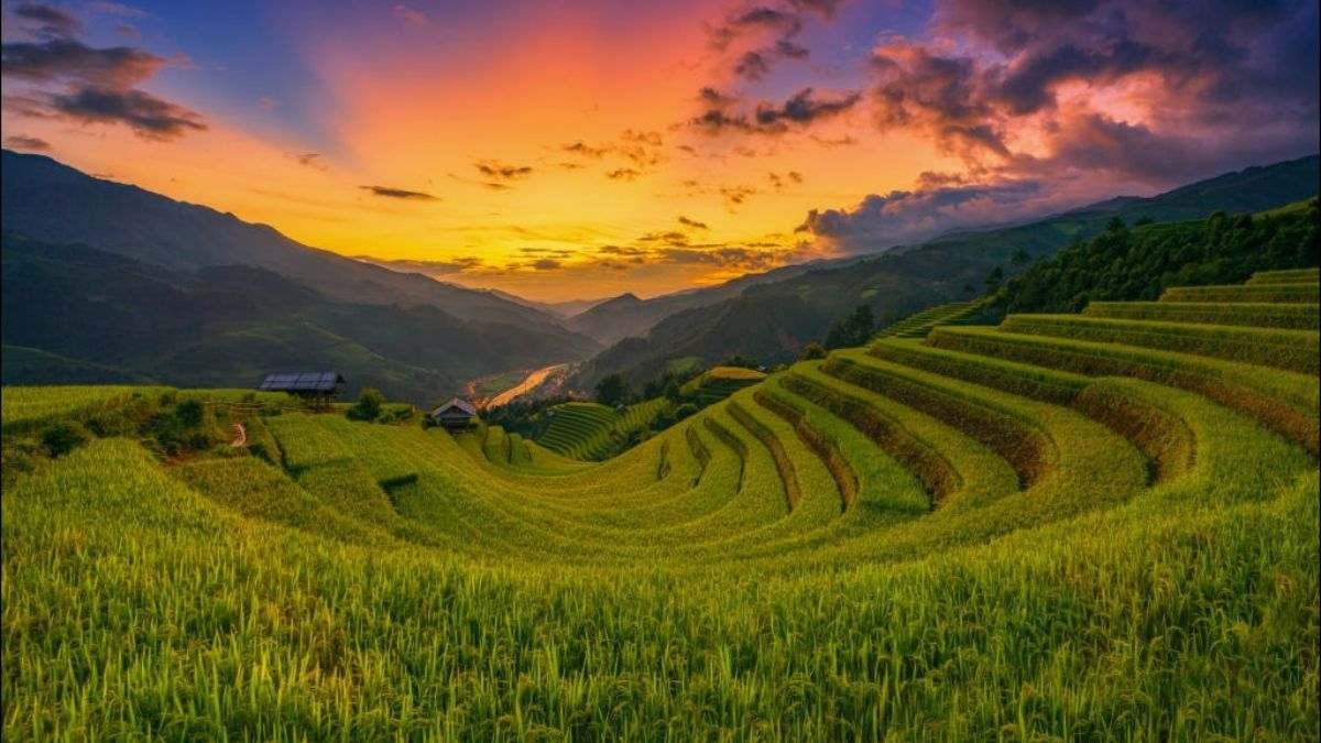 Tử vi 12 cung hoàng đạo, tử vi hôm nay, Bạch Dương, Kim Ngưu, Song Tử, Cự Giải, Sư Tử, Xử Nữ, Thiên Bình, Bọ Cạp, Nhân Mã, Ma Kết, Bảo Bình, Song Ngư, dự báo sự nghiệp