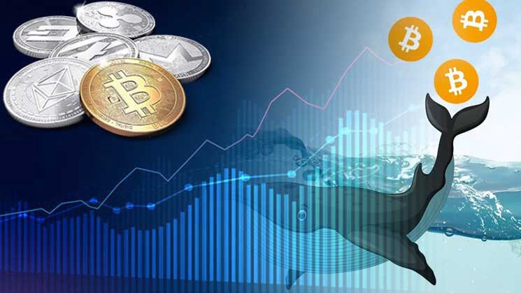 Bitcoin, BTC, quỹ ETF Bitcoin, BlackRock, Fidelity, dòng vốn rút, thị trường tiền số, “cá mập” Bitcoin
