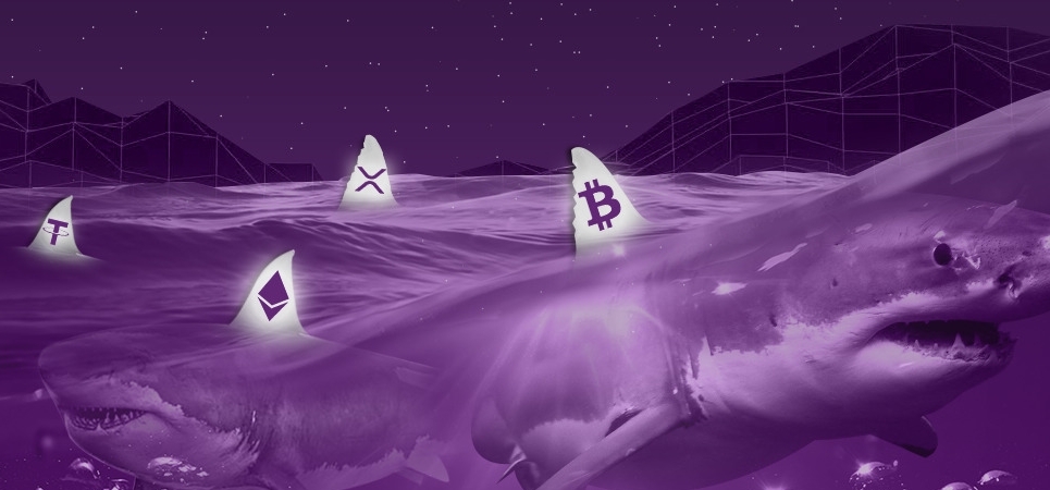 Bitcoin, BTC, quỹ ETF Bitcoin, BlackRock, Fidelity, dòng vốn rút, thị trường tiền số, “cá mập” Bitcoin