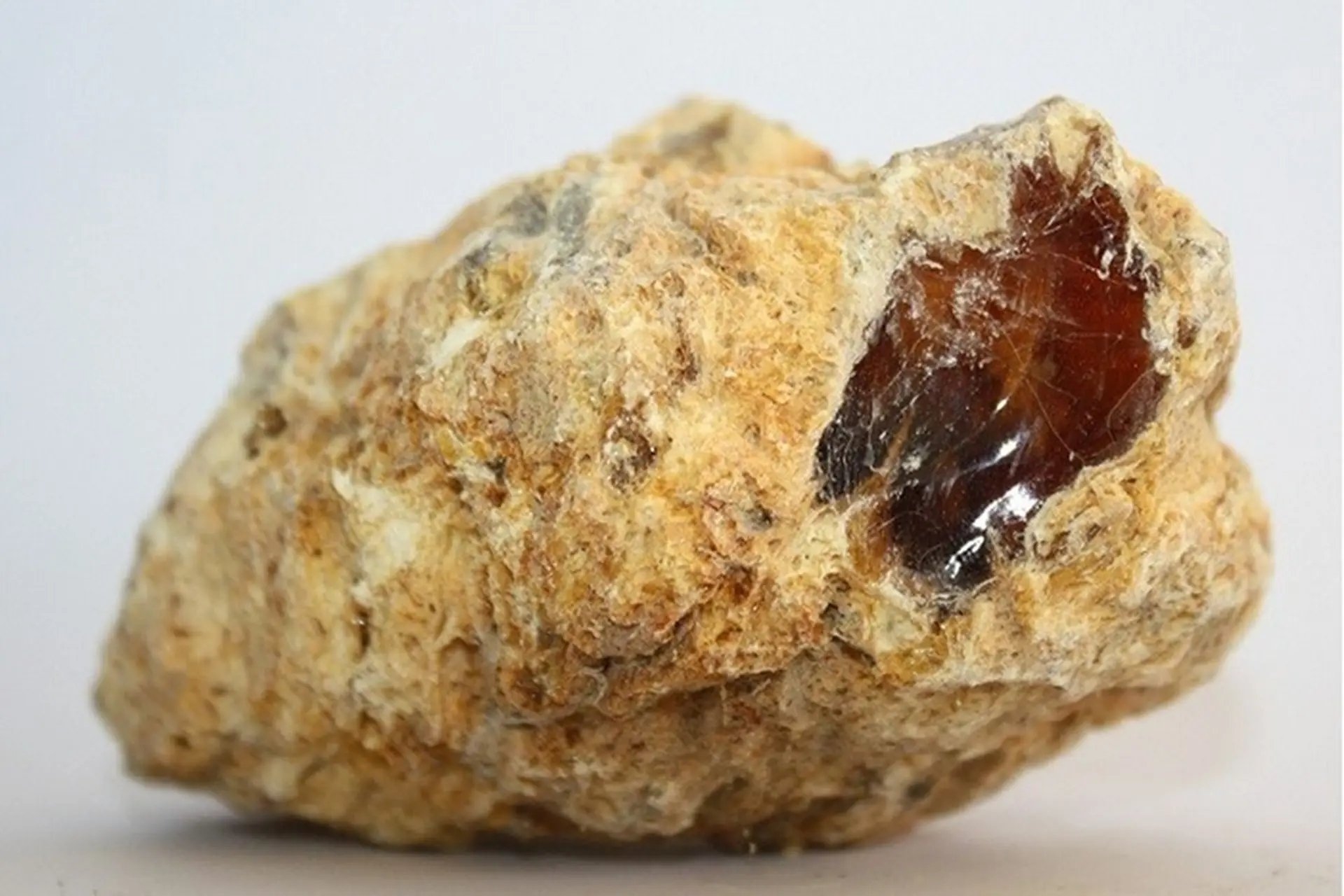 Long Diên Hương là cái gì?