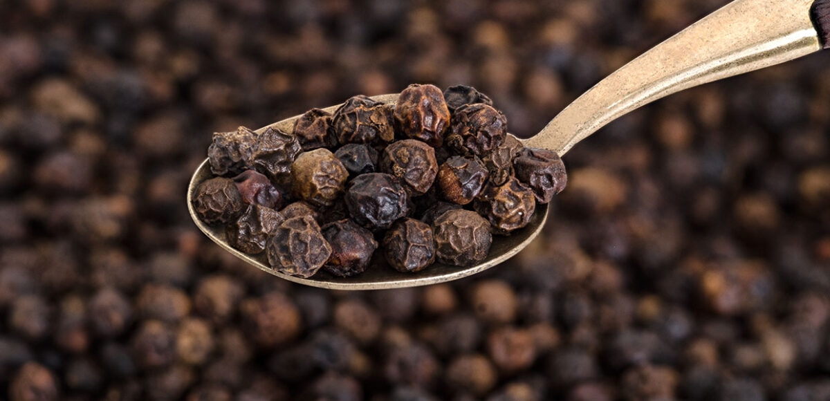 giá tiêu hôm nay 21/11, giá tiêu 21/11/2025, giá hồ tiêu, hồ tiêu Việt Nam, giá tiêu Tây Nguyên, giá tiêu Đông Nam Bộ, mưa lớn miền Trung Tây Nguyên