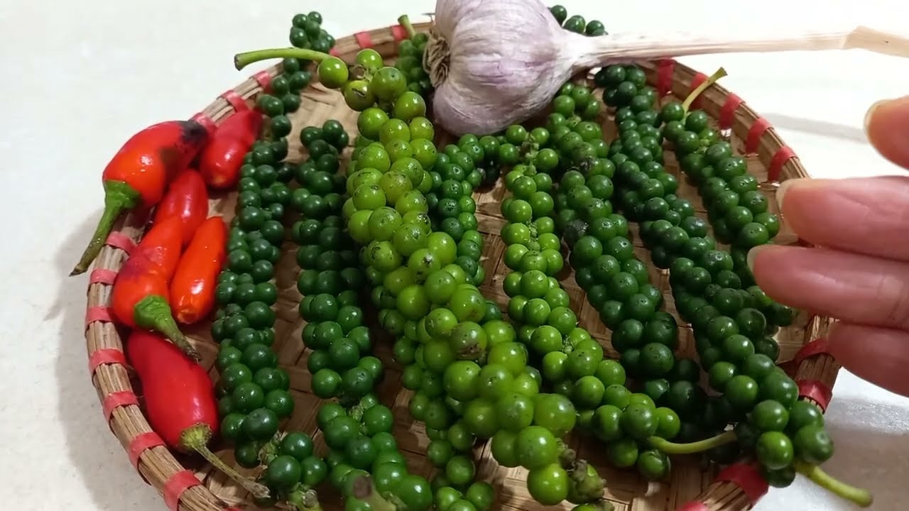 giá tiêu hôm nay, giá tiêu 22/11, giá tiêu đi ngang, hồ tiêu Việt Nam, xuất khẩu hồ tiêu, thị trường tiêu, tiêu Đắk Lắk, tiêu Đắk Nông, tiêu Gia Lai