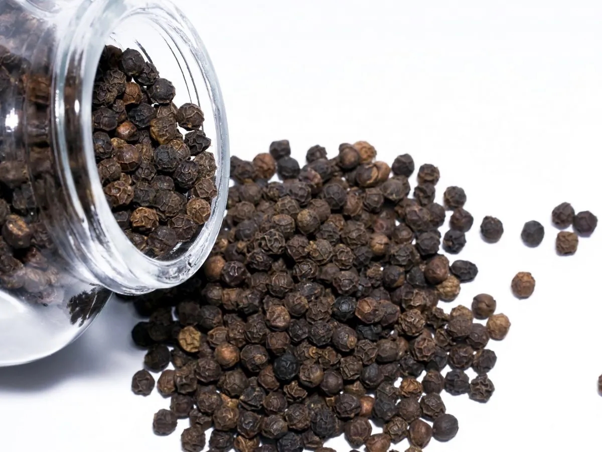 giá tiêu hôm nay, giá tiêu 23/11, giá tiêu Tây Nguyên, giá tiêu tăng mạnh, hồ tiêu Việt Nam, mưa lũ Tây Nguyên, xuất khẩu hồ tiêu, thị trường tiêu 2025