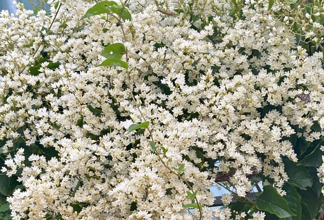 Tử vi 12 cung hoàng đạo 25/11/2025: 24 giờ của 12 cung hoàng đạo