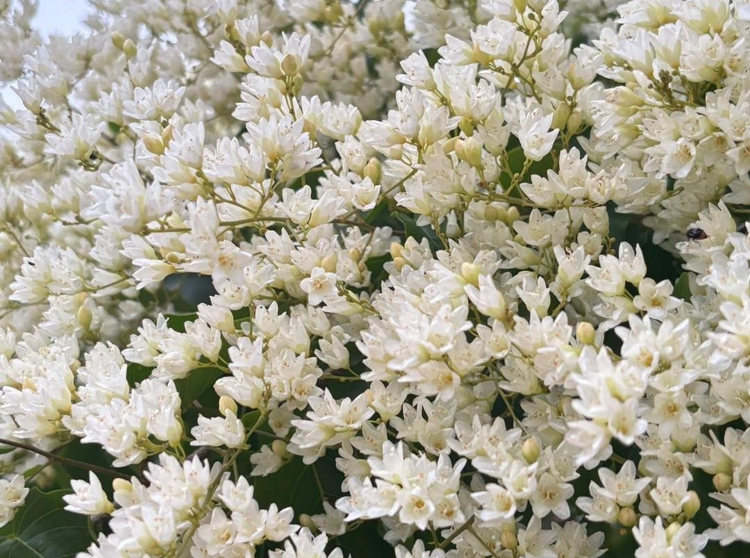 tử vi 12 cung hoàng đạo, tử vi hôm nay, dự báo tình cảm, công việc, tài chính 25/11/2025