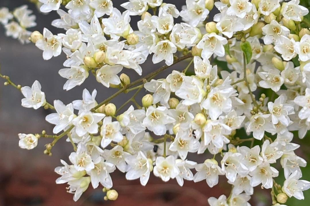 tử vi 12 cung hoàng đạo, tử vi hôm nay, dự báo tình cảm, công việc, tài chính 25/11/2025